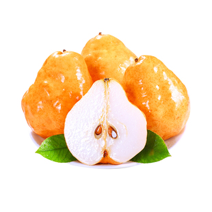 中华丑梨正宗山东烟台软糯香甜梨子新鲜水果当季太婆啤梨整箱包邮