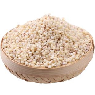 东北特产6A白高粱米2025年新米去皮粗粮佳品5斤五谷杂粮米高梁米