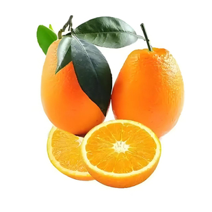 【精美礼盒】正宗奉节脐橙精品12枚新鲜水果香甜多汁现摘现发送礼