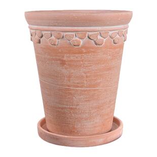 彩叶芋花盆帝罗马陶盆红陶复古粗陶透气做旧绿植盆鳟鱼秋海棠兰花