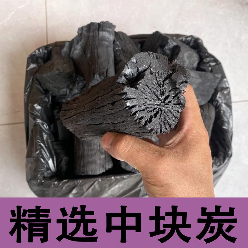 烧烤碳无烟家用果木炭专用炭烤炉速燃炭机制室内碳块炭块耐烧