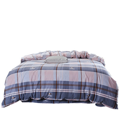 加厚秋冬季100%磨毛学生双人被罩