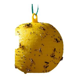 粘虫球丝瓜果实蝇贴诱蝇球针蜂马蜂色引诱剂果蝇诱捕器双面黄板纸