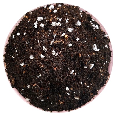 发财树专用土肥料发财树专用土盆栽绿植营养土养花专用通用花土肥