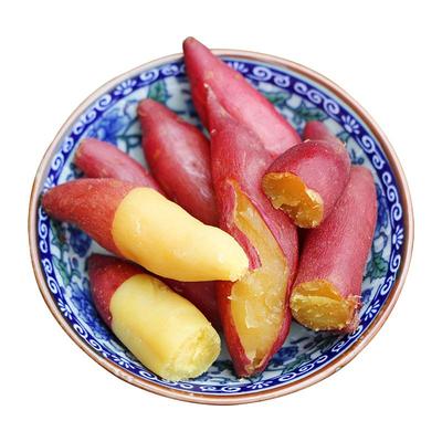 迷你手指薯现挖临安天目山小香薯