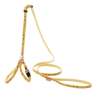 日本Petio派地奥猫咪专用牵引绳猫胸背遛猫绳带铃铛猫链子猫项圈