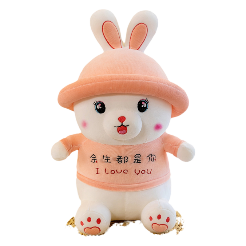 帽子兔毛绒玩具公仔可爱余生是你玩偶小白兔少女心礼物送女生闺蜜
