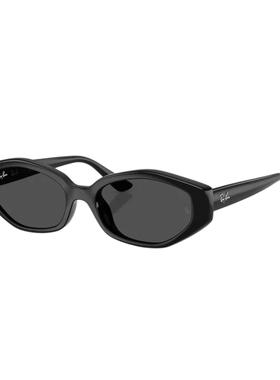 RayBan雷朋不规则形注塑太阳镜