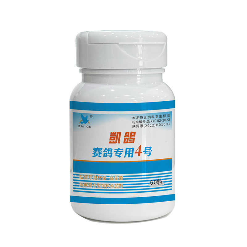 凯鸽4号60粒赛鸽专用4号鹦鹉鸽子