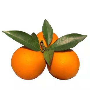 正宗江西赣南脐橙赣州安远甜橙子孕妇新鲜水果手剥橙20斤装大10斤