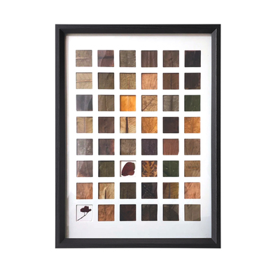 落叶相框24 48宫格树叶标本画框手工diy捡秋相框树叶收集创意装饰