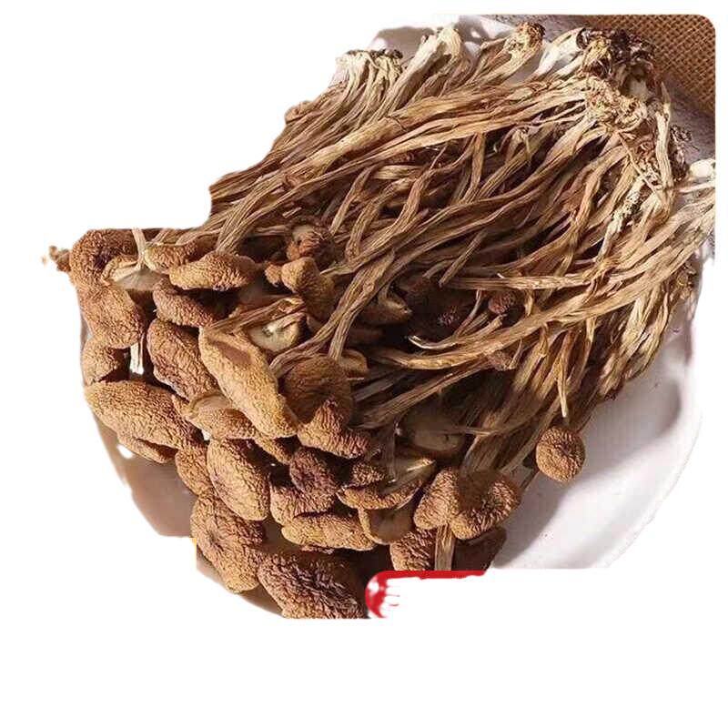 古田茶树菇干货农家特产菌菇食材