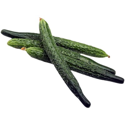 农家寿光黄瓜阳台田园蔬菜种子