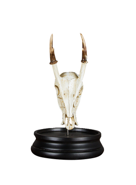 树脂动物鹿头复古教学道具装饰品