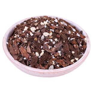 天南星科营养土热植通用蔓绿绒海芋花烛盆栽泥炭颗粒龟背竹专用土