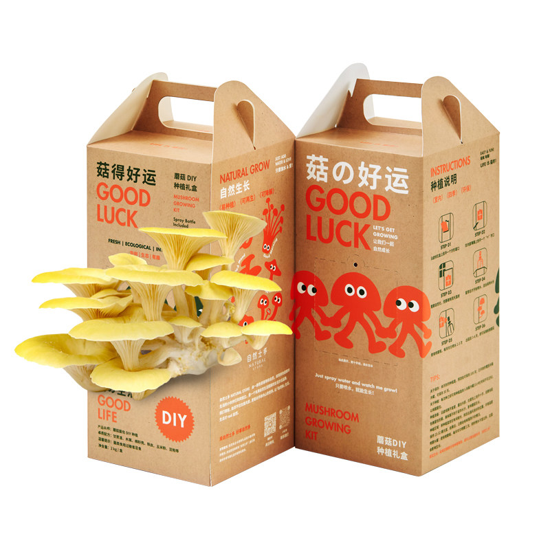自然士多 蘑菇DIY种植礼盒 可食用生态菌菇种植包包定制伴手礼