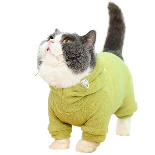 弹力绒护肚衣猫咪四脚衣保暖冬装宠物德文猫专用无毛猫衣服可牵引
