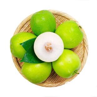 5斤礼盒 正宗牛奶大青枣当季现摘新鲜贵妃苹果脆枣蜜冬枣水果整箱