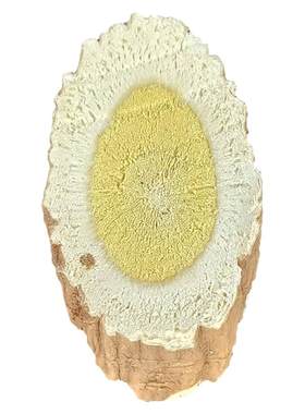 甘肃特级无硫天然野生老黄芪