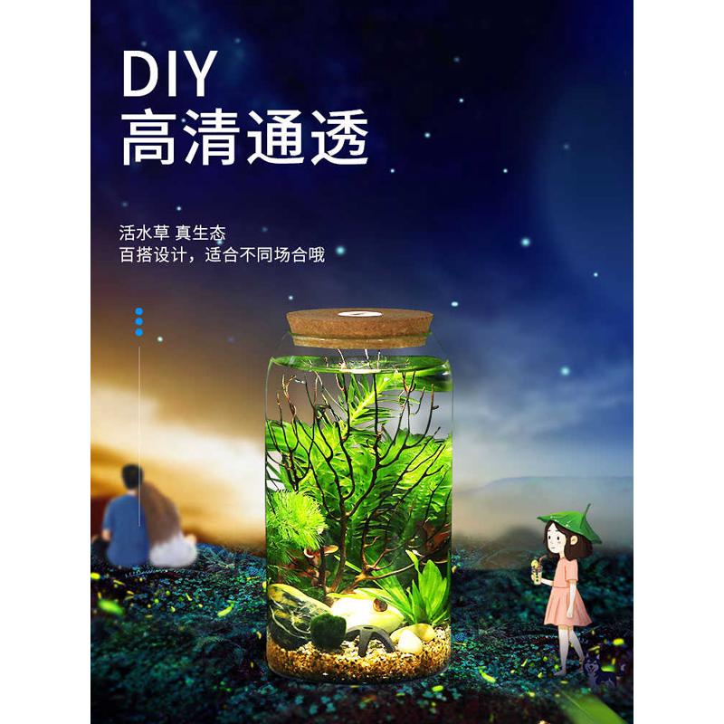 高脚杯生态瓶鱼免换水打理微景观科学用diy作业办公桌面造景鱼缸