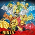 Dragon Form Ninja 8 Models