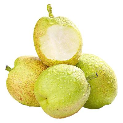 正宗库尔勒香梨2025鲜果脆甜多汁