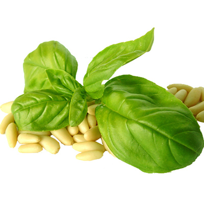 进口九层塔四季蔬菜孑柠檬罗勒