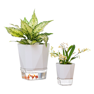 懒人自动吸水花盆特大号绿萝蝴蝶兰塑料水培花盆绿植盆栽家用阳台