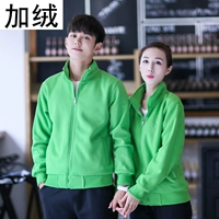 Glel бархатного зеленого