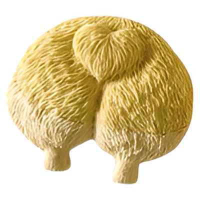 鸡肉奶酪柯基屁屁饼干生日装饰