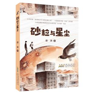 砂粒与星尘薛涛贵州阅美黔贵河南典耀中华广西八桂五年级下册寒假共读推荐课外阅读书目小学生必读儿童文学安徽少年儿童出版社正版