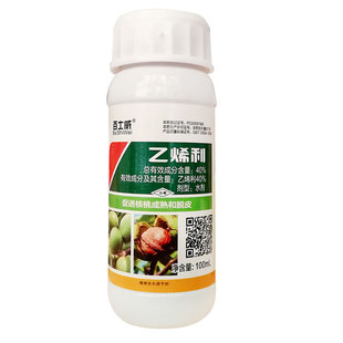 乙烯利乙稀利希利柿子催熟剂青皮核桃去皮药水果芒果香蕉崔催熟剂