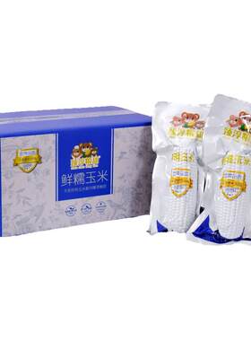 臻淳粮甜美味小黄糯玉米棒黑龙江