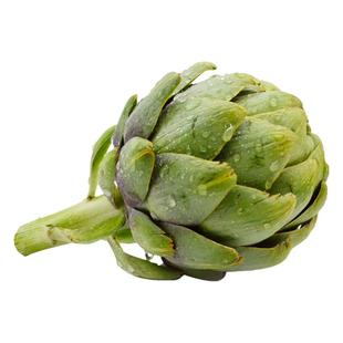 洋蓟新鲜3斤大果包邮法国百合Artichoke现摘现发云南曲靖朝鲜蓟