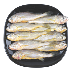 4斤舟山东海野生小黄鱼新鲜冷冻黄花鱼黄鱼冰冻鲜活海鲜水产包邮