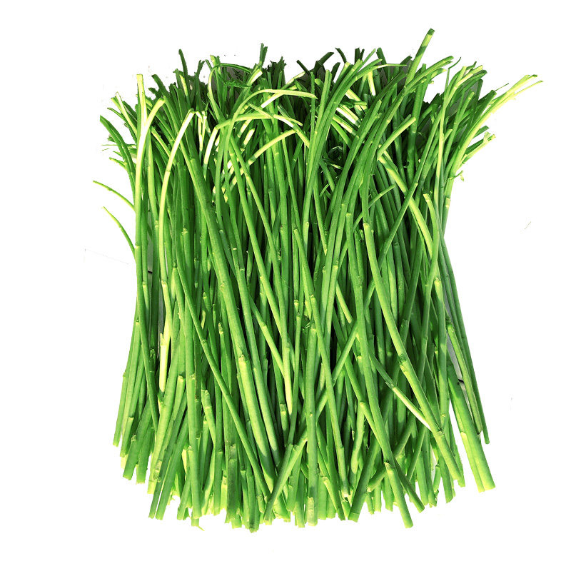 篱蒿藜蒿3斤当季芦蒿蔬菜