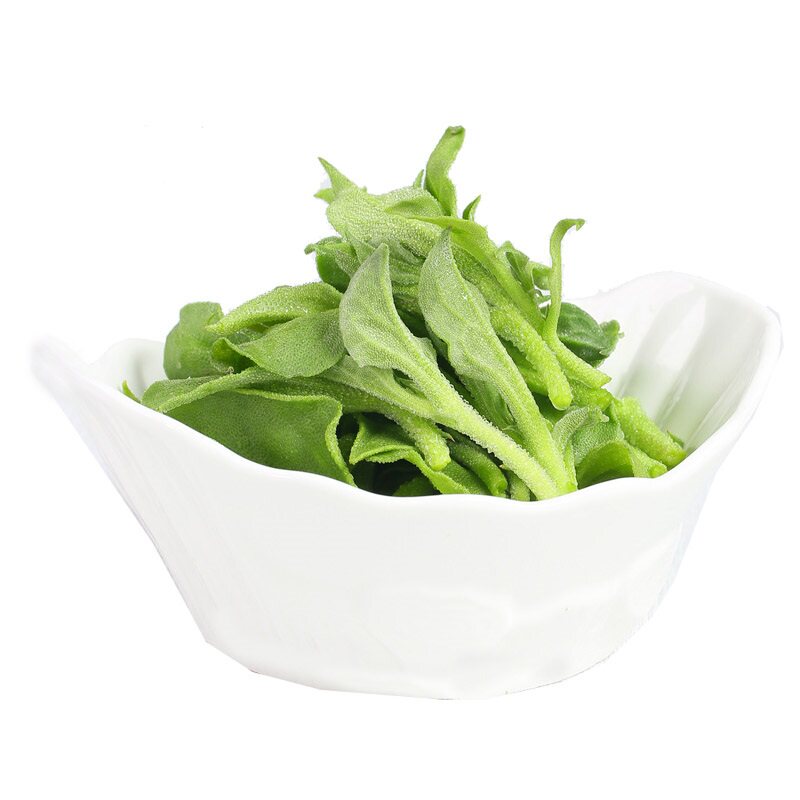 山东新鲜现摘非洲冰草冰菜冰叶冰花蔬菜沙拉火锅即食凉拌顺丰包邮