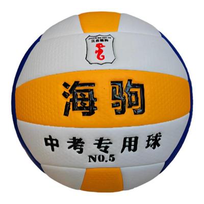 海驹正品 针纹5号 海驹1110A中学生中考专用排球