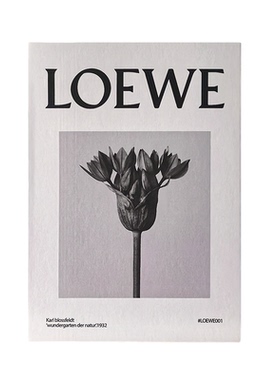 态生活ins风假书装饰品仿真书摄影拍照道具客厅办公室氛围感摆件