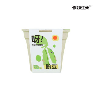 作物生长豌豆萝卜花生种植盆栽套装幼儿园手工课学生体验趣味绿植