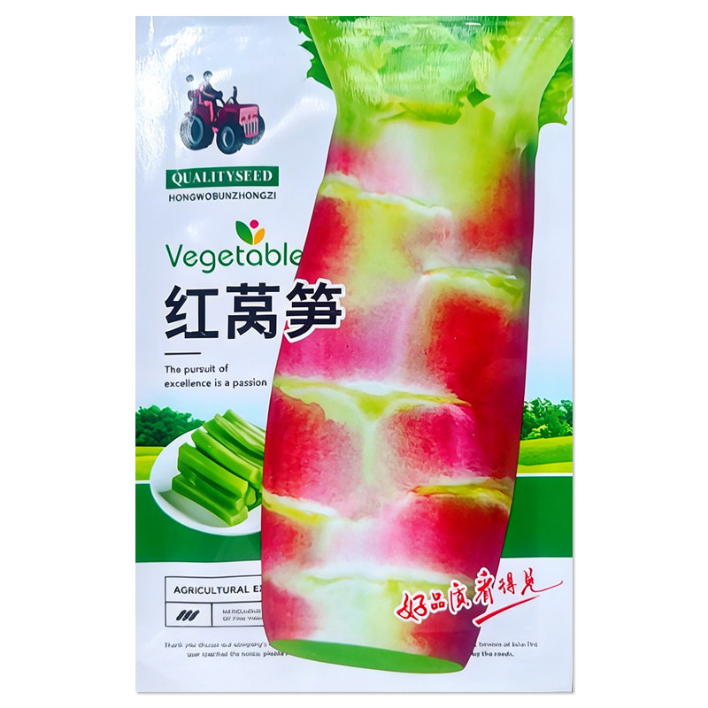 红莴笋种子挂丝红皮莴
