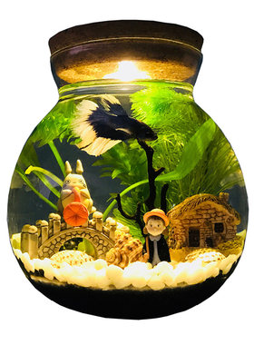 生态瓶水族箱斗鱼缸焘渔