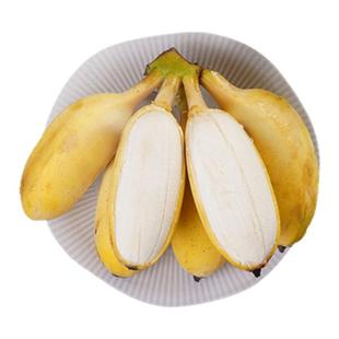 苹果蕉正宗香蕉5斤新鲜水果当季整箱自然熟小米蕉芭蕉包邮粉蕉9斤