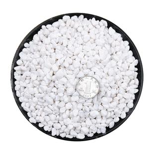 白石子鹅卵石鱼缸盆栽装饰白色大小石头花园庭院阳台园林景观室内