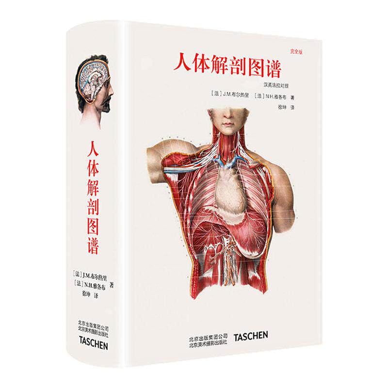 包邮人体解剖图谱手绘手稿艺术