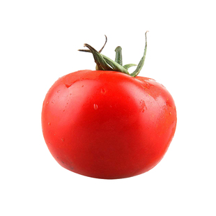 沙瓤大粉番茄种子苗子粉果西红柿种籽种苗四季蔬菜种孑农家菜种籽