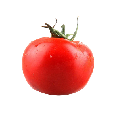 高产西红柿四季毛粉农家番茄种子