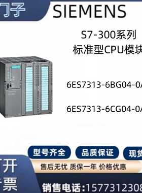 议价西门子S7-300PLC标准型CPU 6ES7313-6BG/CG04-0AB0 313C-2PTP
