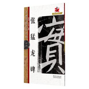 名碑名帖完全大观 张猛龙碑 八开米字格魏碑放大毛笔字帖 初学者书法入门教程书籍笔法结体解析原墨迹字放大临摹本 江西美术出版社