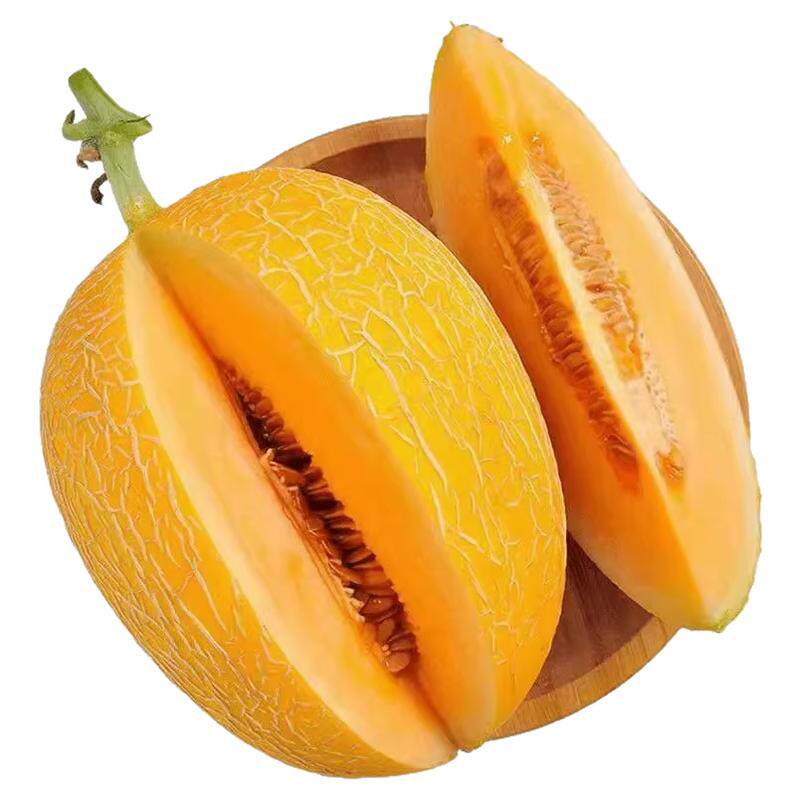 现摘现发9斤装黄金蜜瓜脆甜多汁1
